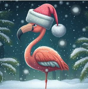 Meet your Posher, Connie